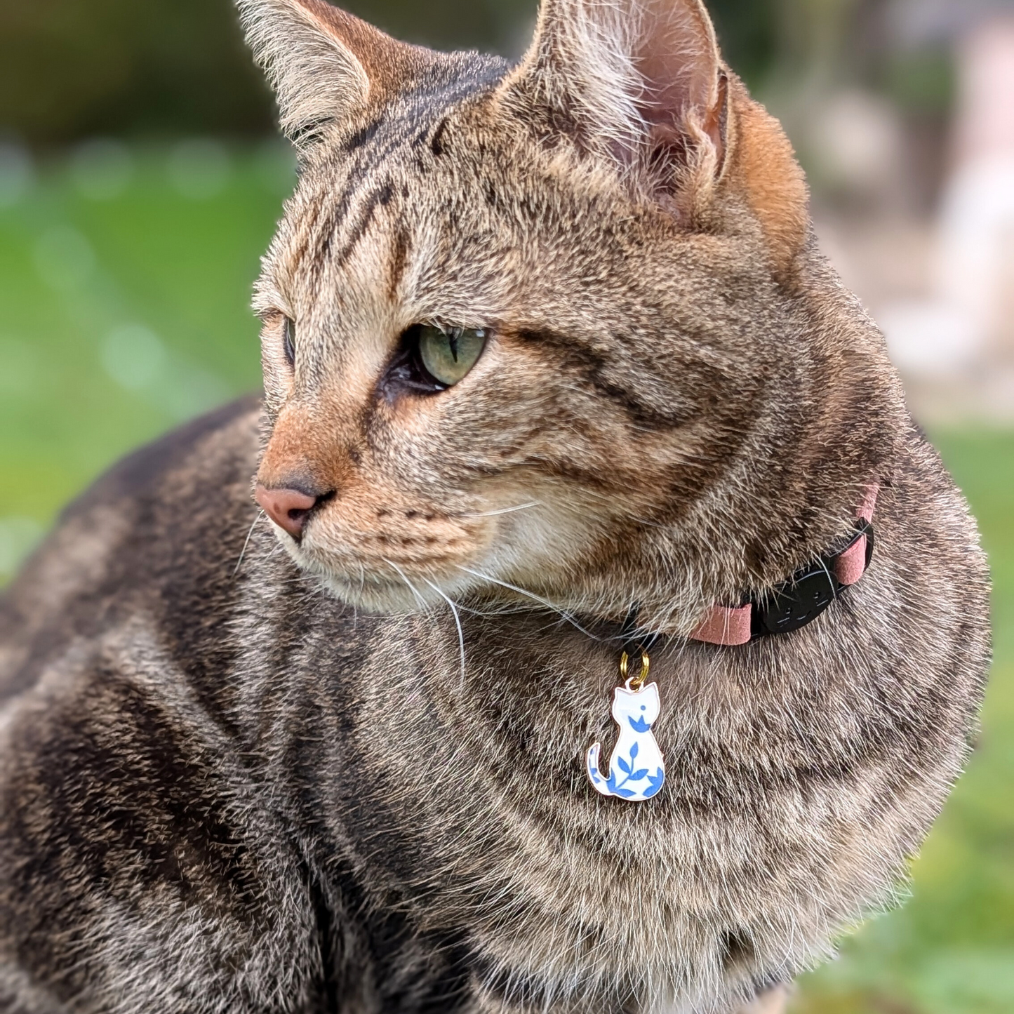 チャーム・バックスタイル🐈