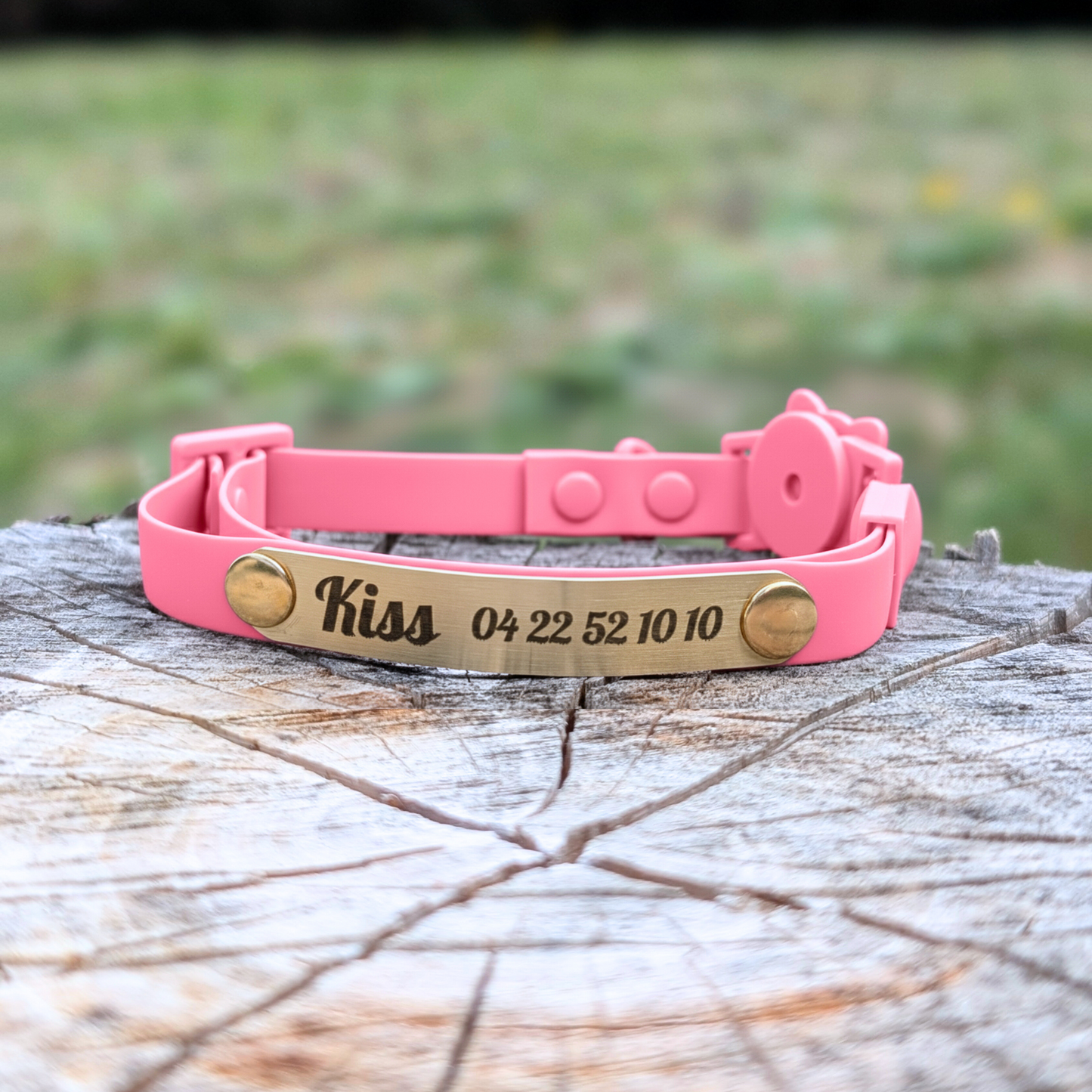 Miya Cats · Personalized Breakaway Collars for Cool Cats