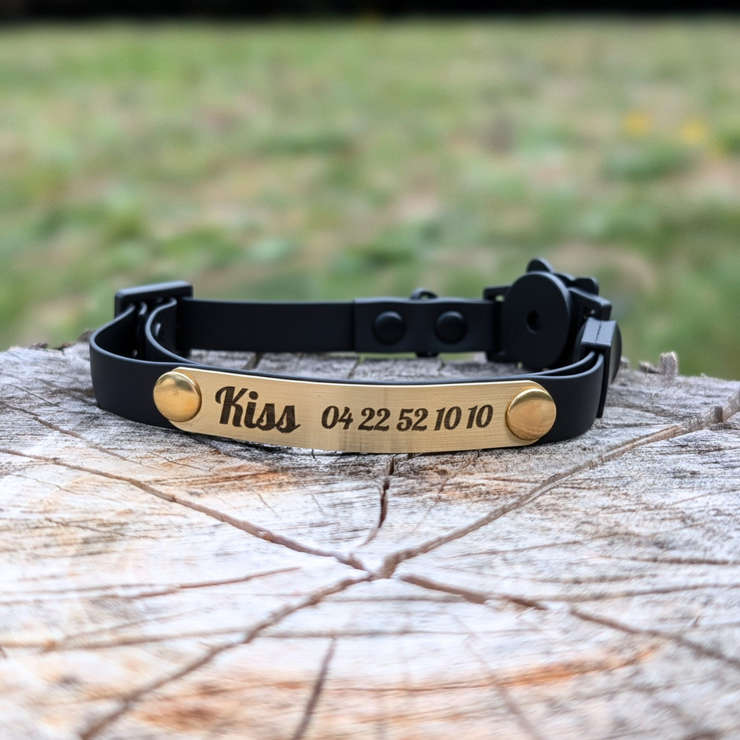 Miya Cats · Personalized Breakaway Collars for Cool Cats