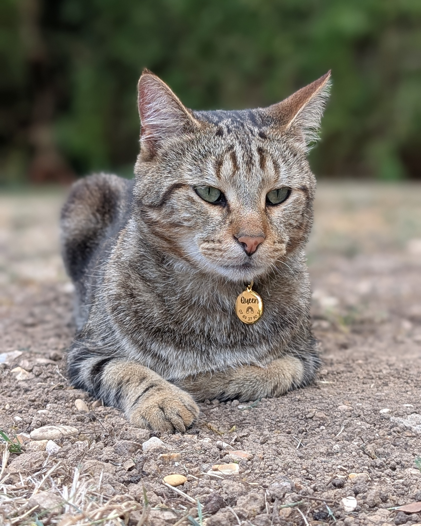 Médaille Gravée · Miya Cats