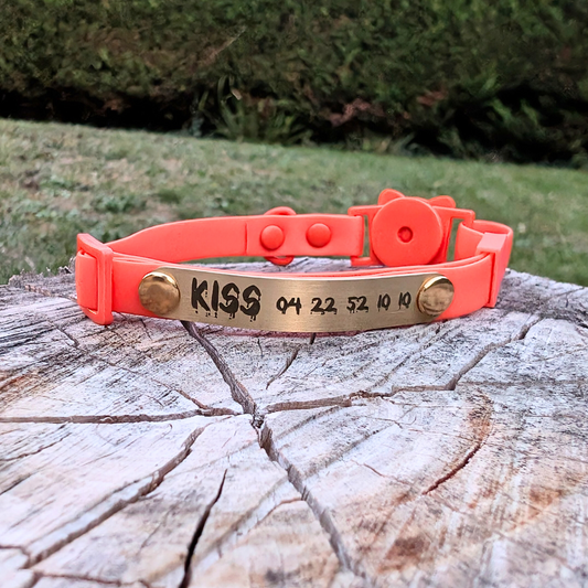 Miya Cats · Personalized Breakaway Collars for Cool Cats