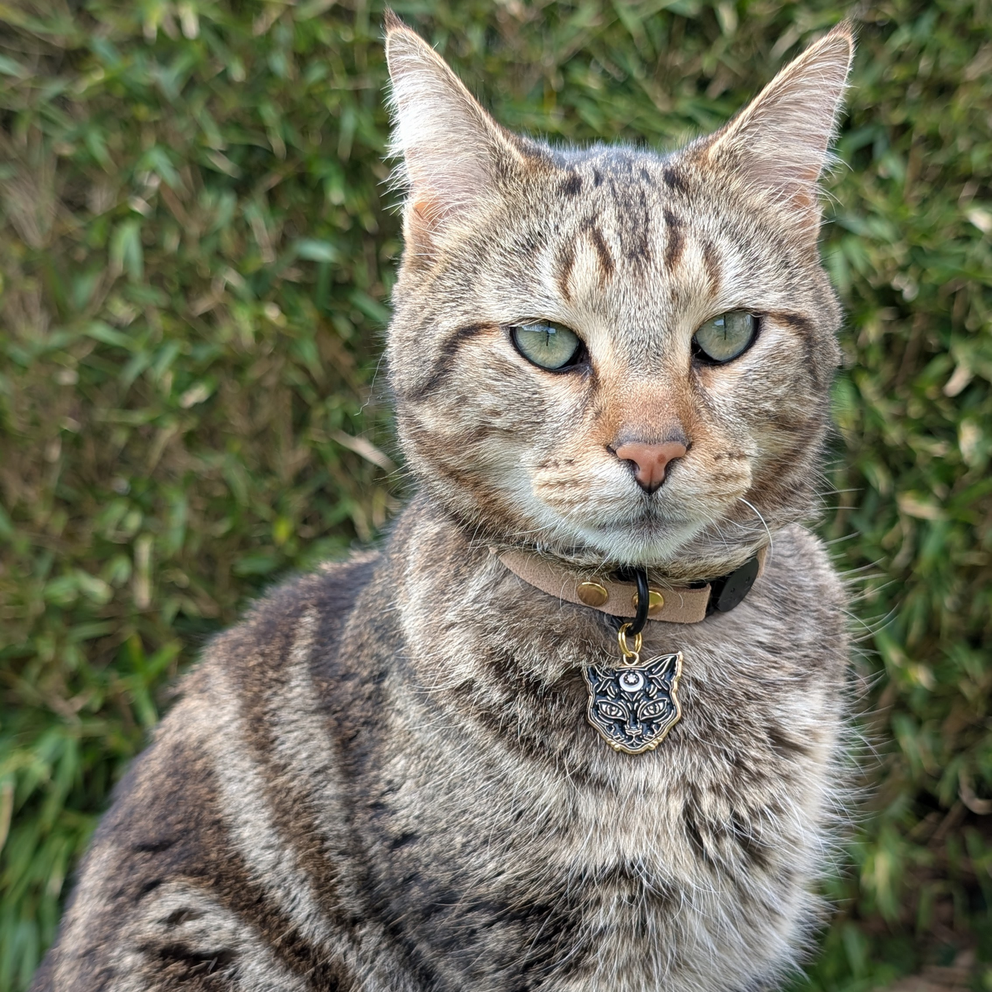 Médaille · Miya 😺
