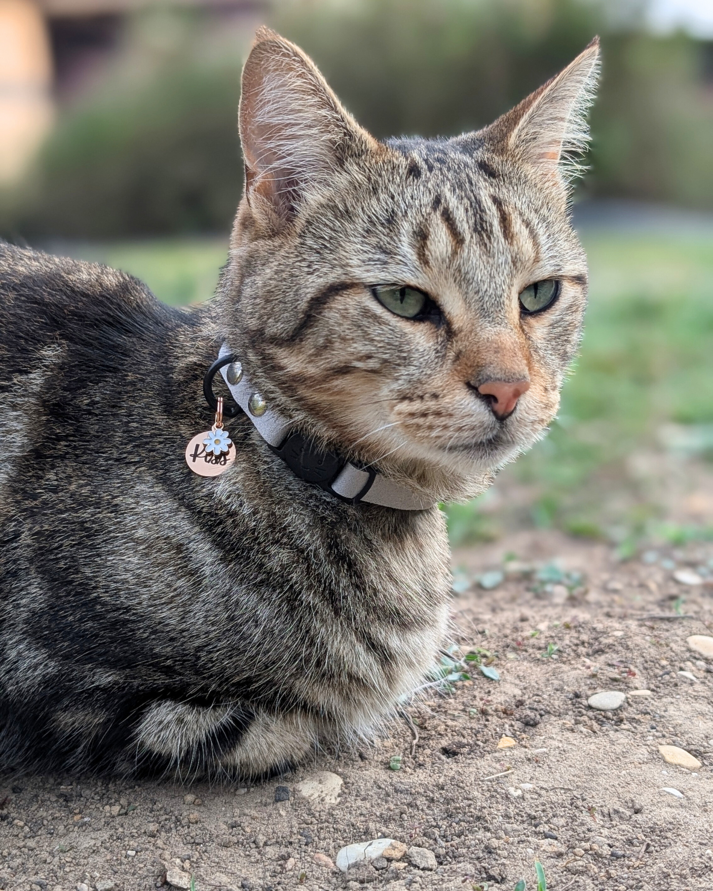 Médaille Gravée · Miya Cats