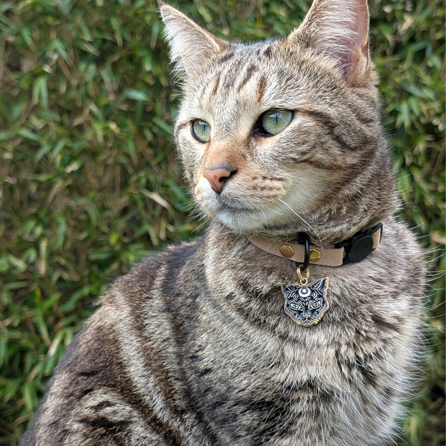 Médaille · Miya 😺
