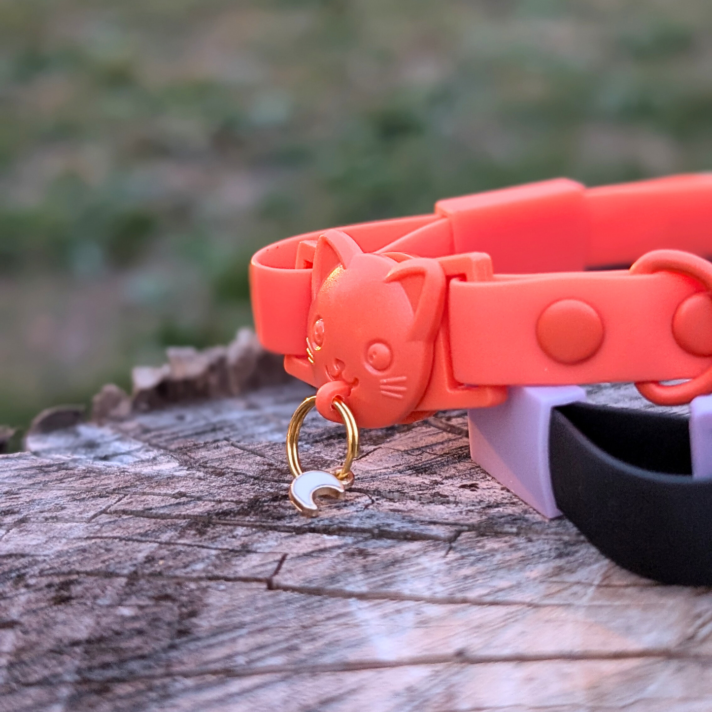 Miya Cats · Personalized Breakaway Collars for Cool Cats