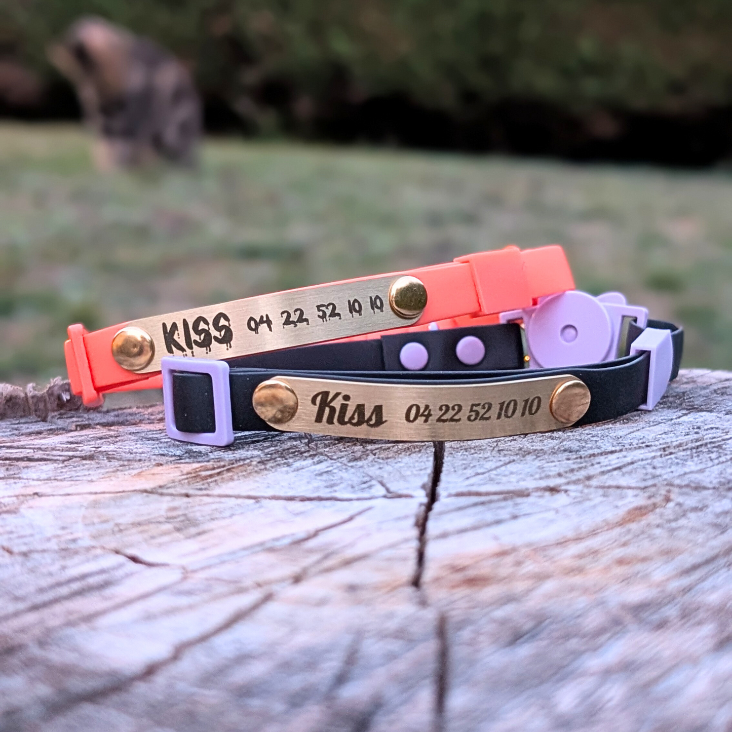 Miya Cats · Personalized Breakaway Collars for Cool Cats
