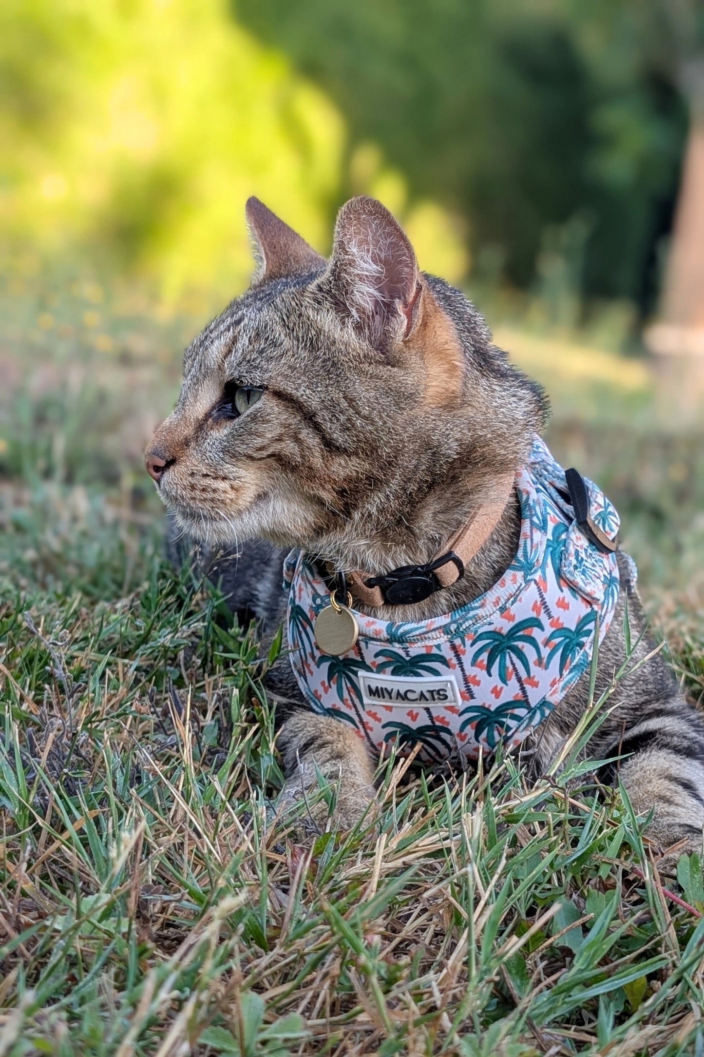 Miya Cats · Harnais & Laisses pour chats
