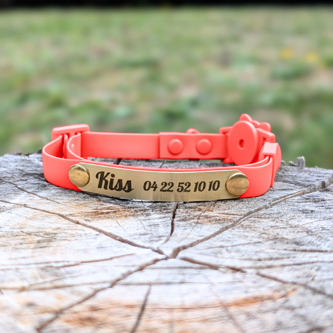 Miya Cats · Personalized Breakaway Collars for Cool Cats