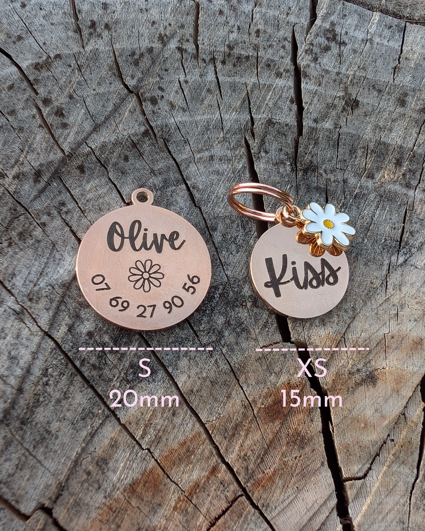 Médaille Gravée · Miya Cats