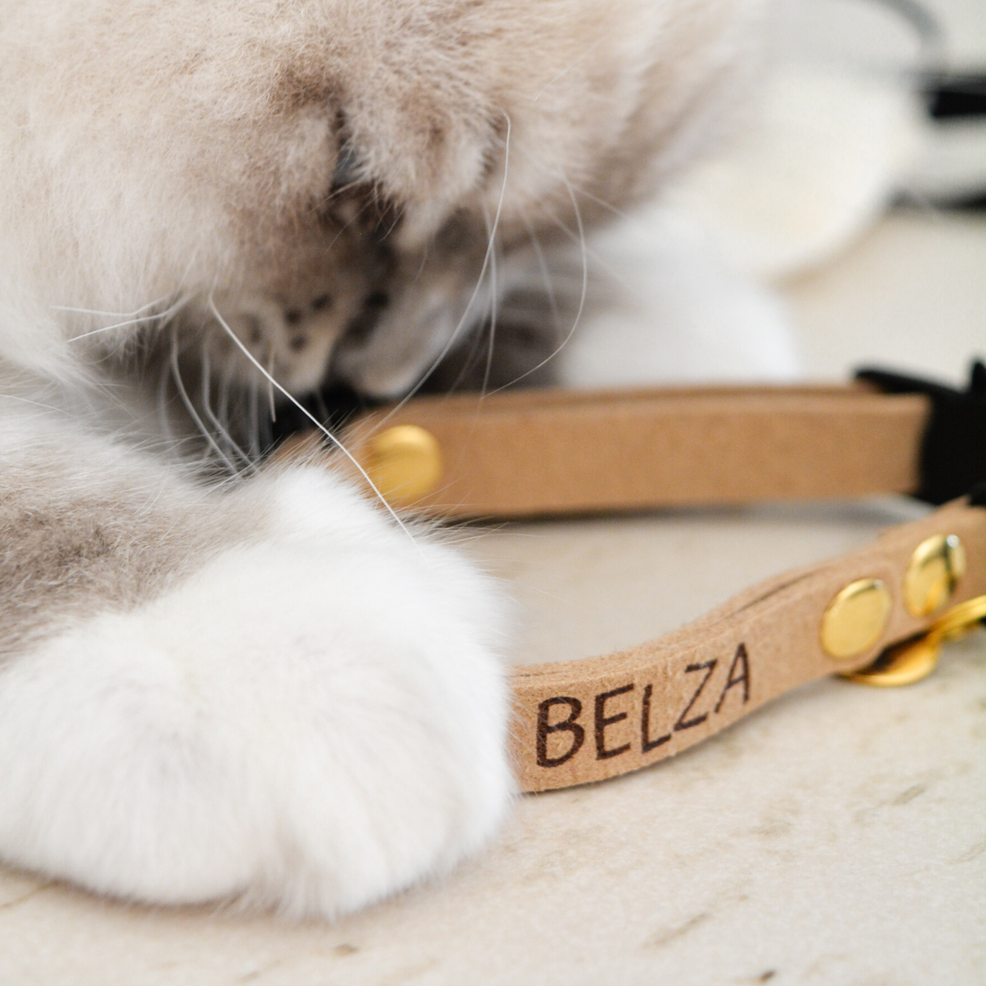 collier anti-étranglement pour chat Miyacats
