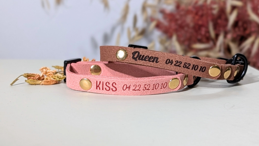 Collier avec médaille personnalisée : un indispensable pour identifier votre chat
