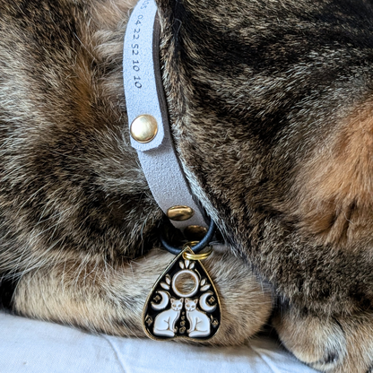 Médaille · Mysticat 🐈‍⬛