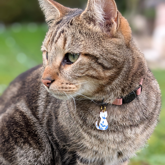 Médaille · Chat 😻