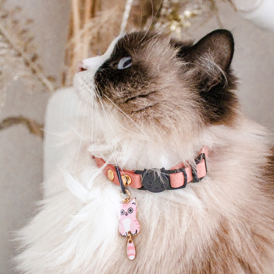 Miya Cats · Collier Anti-étranglement Personnalisé pour Chats