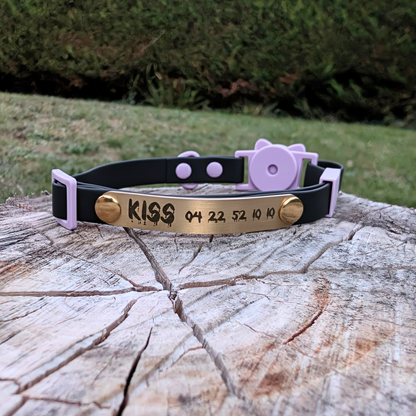 Miya Cats · Personalized Breakaway Collars for Cool Cats