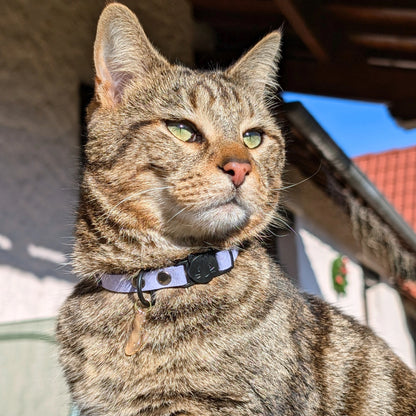 Miya Catsの首輪