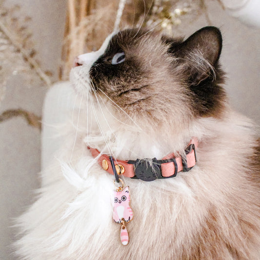 Collier Anti-étranglement Personnalisé pour Chats
