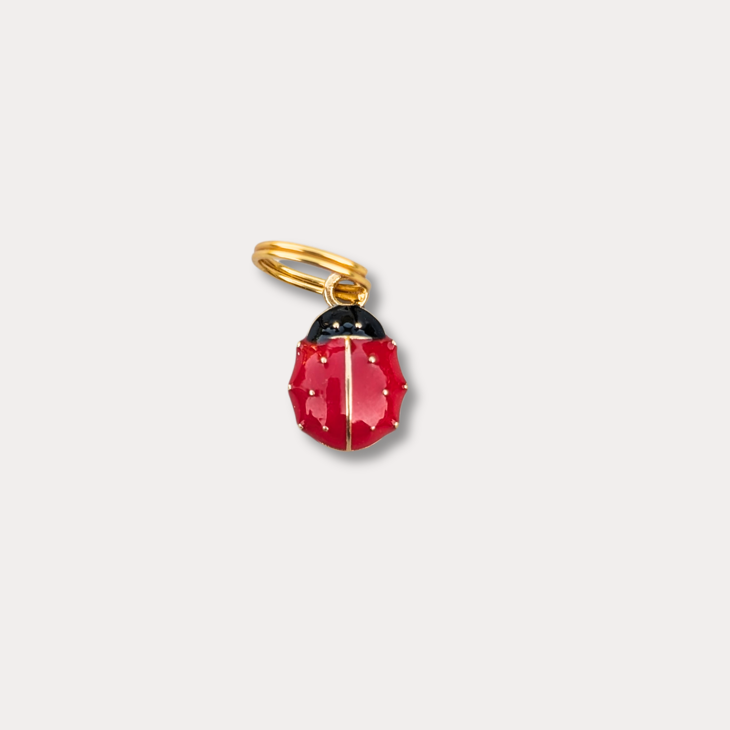 Médaille · Coccinelle 🐞 (NEW!)