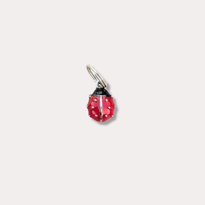 Médaille · Coccinelle 🐞 (NEW!)