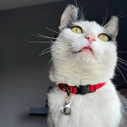 Miya Catsの首輪