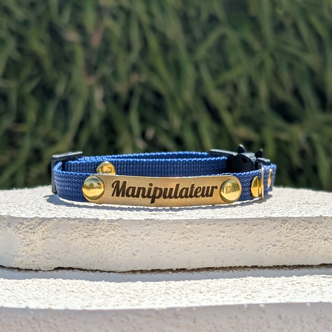 Miya Cats · Personalized Breakaway Collars for Cool Cats