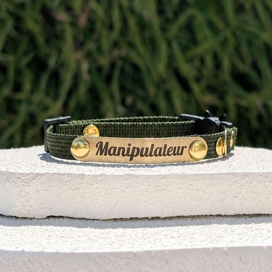 Miya Cats · Personalized Breakaway Collars for Cool Cats