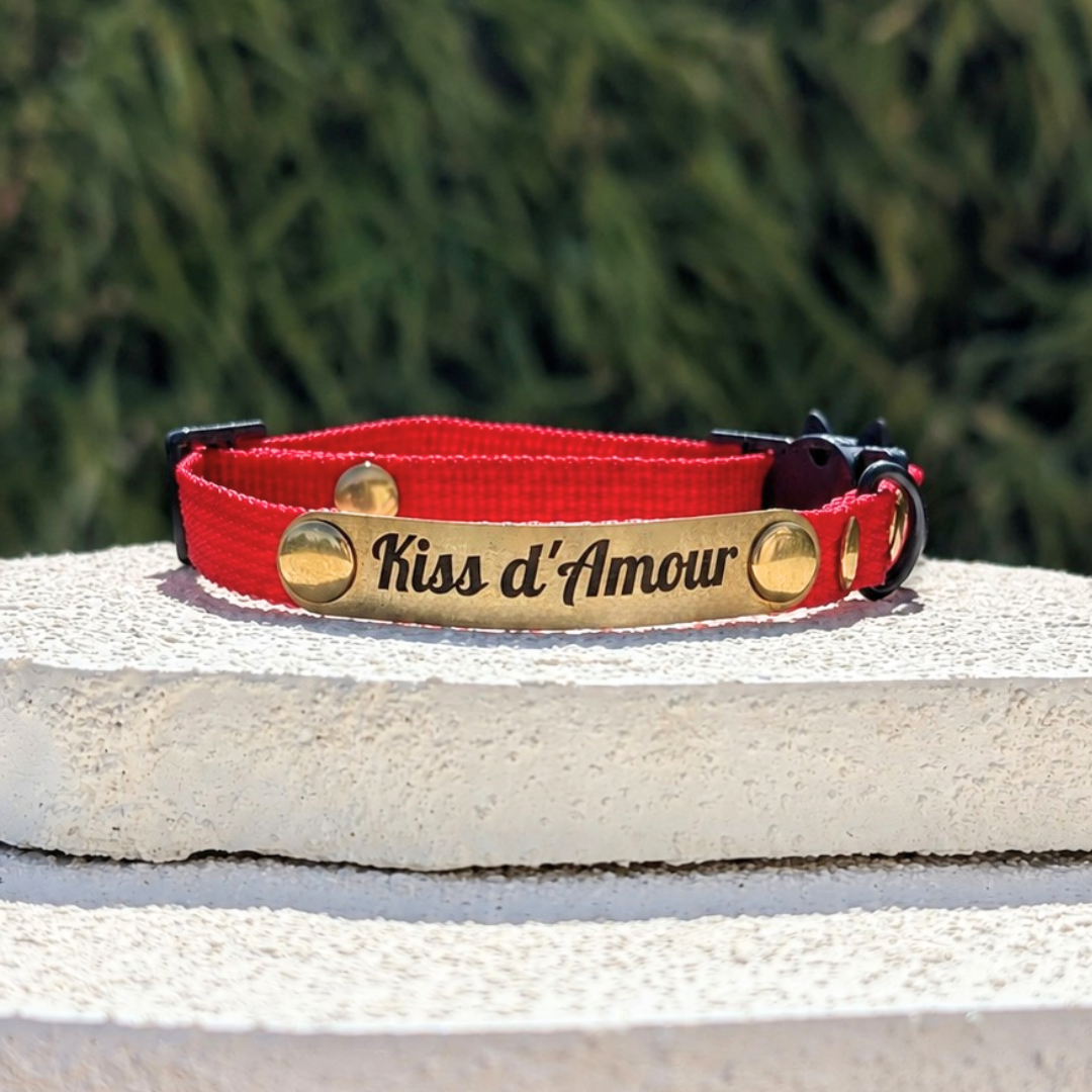 Miya Cats · Personalized Breakaway Collars for Cool Cats