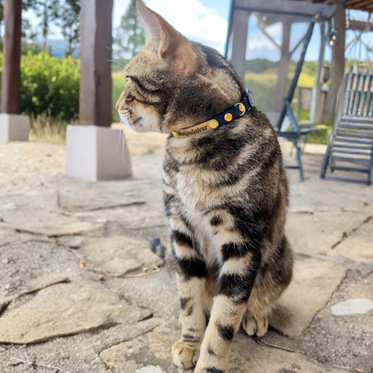 Miya Cats · Personalized Breakaway Collars for Cool Cats