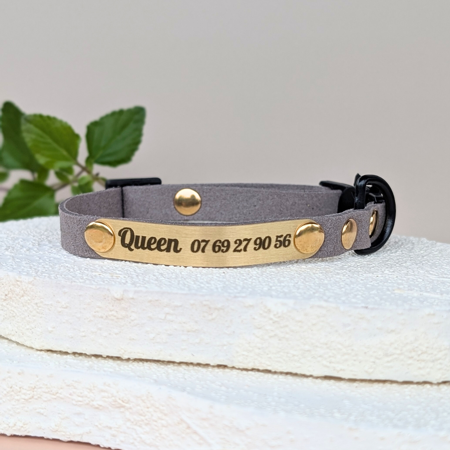 Miya Cats · Collier Anti-étranglement gravé pour Chats