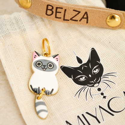 Collier Anti-étranglement Personnalisé pour Chats