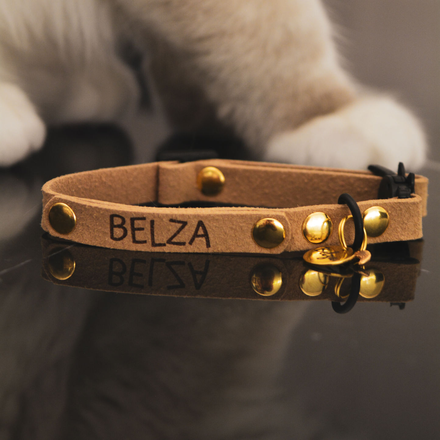 Collier Anti-étranglement Personnalisé pour Chats