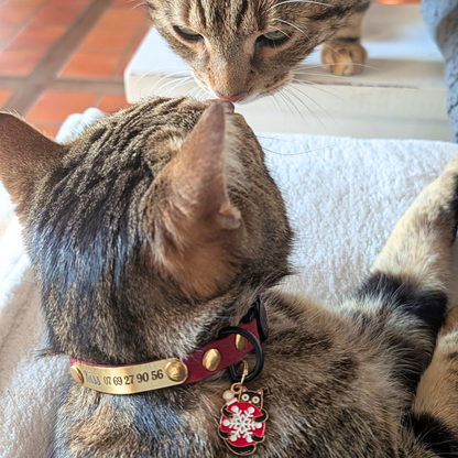 Miya Cats · Collier Anti-étranglement gravé pour Chats
