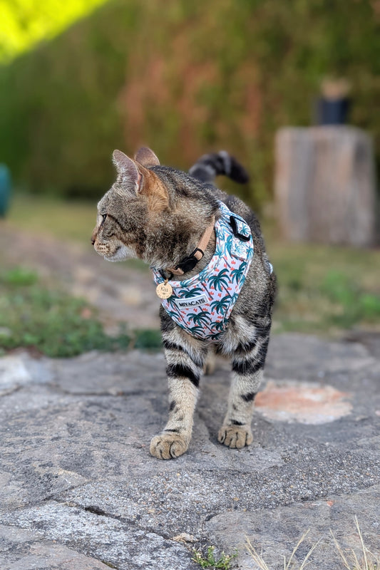 Miya Cats · Harnais & Laisses pour chats
