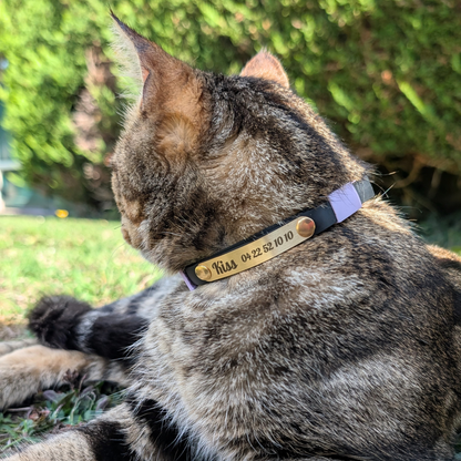 Miya Cats · Personalized Breakaway Collars for Cool Cats