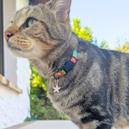 (NEW!) Collier Anti-étranglement pour chat · Edition Summer